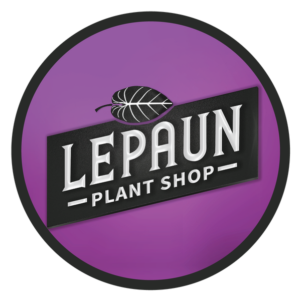 Lepaun Plant Shop